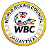 AR4qjpqji0Y-channel-avatar-WBC MuayThai