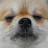 @체리토마토-u7l