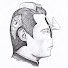 t-RIIN-czjQ-channel-avatar-SublimelyRidiculous