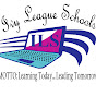 ILS Online logo