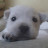 @user-pc1ju1ho1t