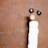 @p.davidson7519's avatar