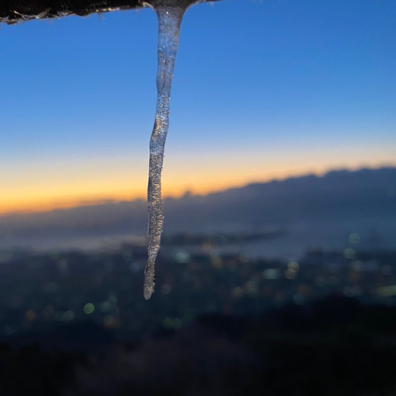 まる福（ふくちゃん）