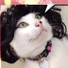 いたちピアノ