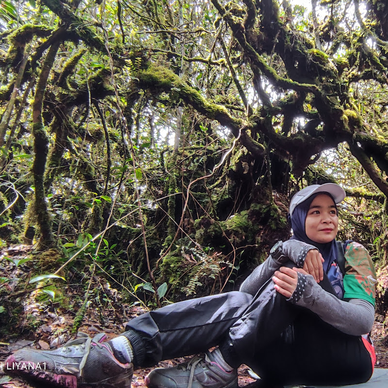 LiyanaAzmi 1