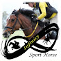 Infinity Sport Horse LLC logo