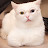 @한수민-w2c