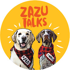 Zazu Talks channel logo