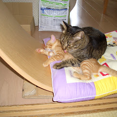 お金のサイエンス