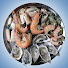 dW5GX4Gs848-channel-avatar-Fish Cutting And Fillet