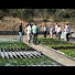 WYFM7J_TpTU-channel-avatar-backyardaquaponics