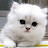 @user-bw3vp5wk9w
