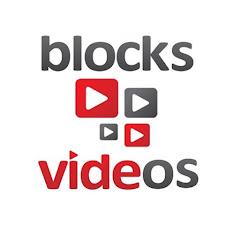 BlocksVideos net worth