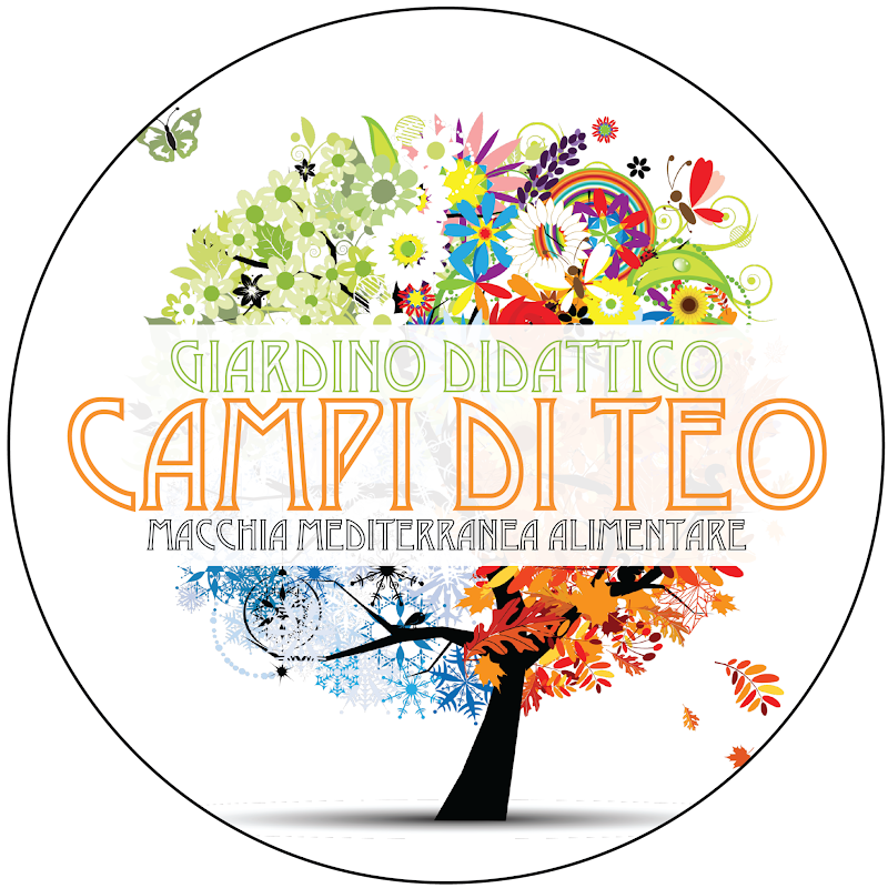 Campi di Teo