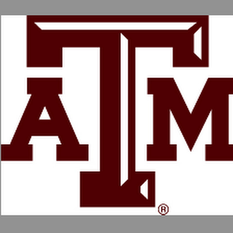 CESG TAMU