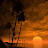@2244-q2n
