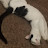 @jeremyz6911's avatar