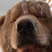 @ruiandrew9326 Avatar