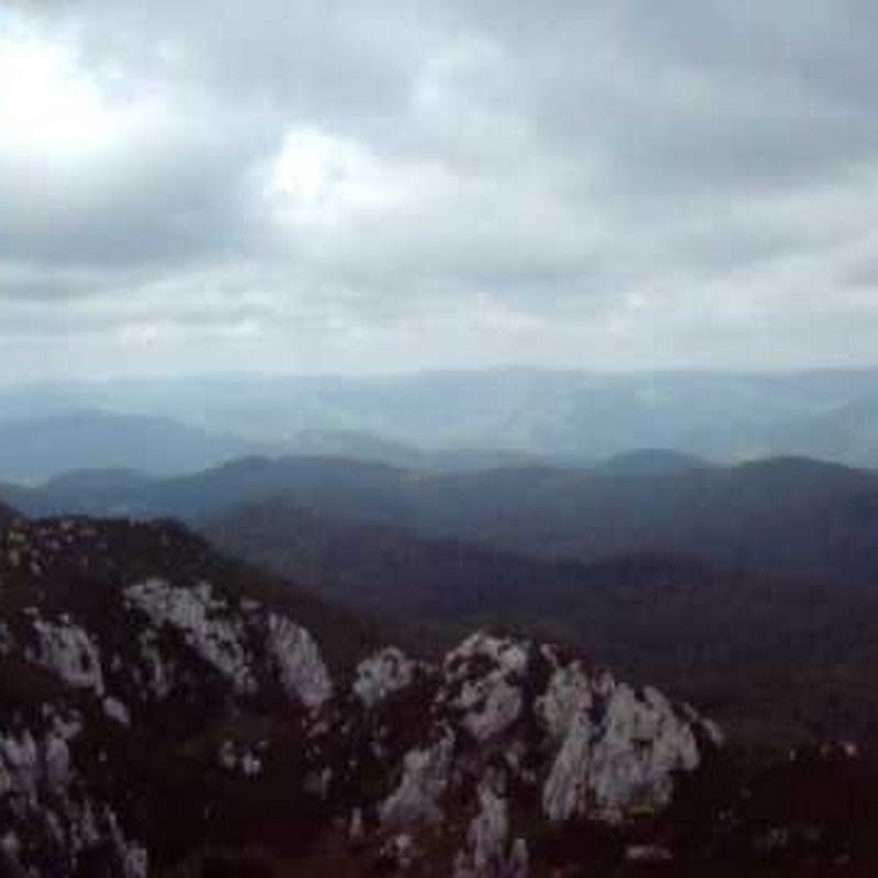 pedrocamp