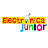 Electronica Junior