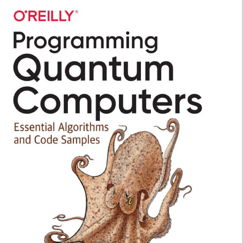 Programming Quantum Computers