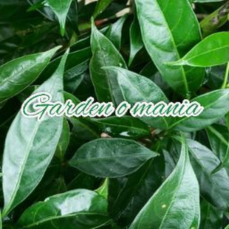 garden_o_mania