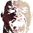 322JIrvUqag-channel-avatar-wernberli