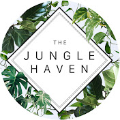The Jungle Haven