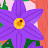 avatar of @exploreuniverse2847