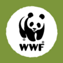 WWF-Rangers net worth