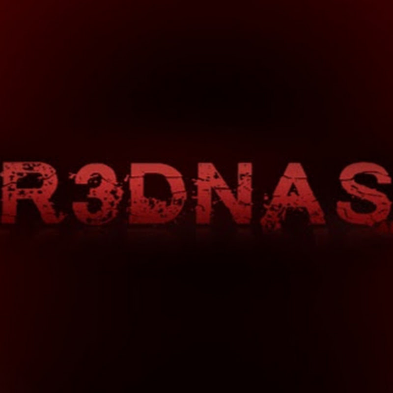 R3DNAS