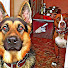 MQ4RtrlV9h4-channel-avatar-Dawg Vlog