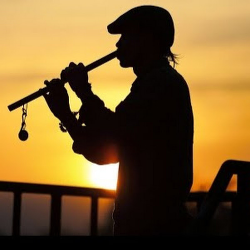 World Music Evolution