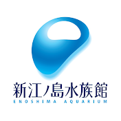 新江ノ島水族館公式チャンネル