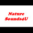 MBsurrNxmes-channel-avatar-Nature Sounds4U