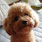 @user-vw1dk9su6d