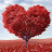 @TV-jy7wz