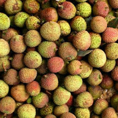 riaru kokoaruアイコン画像