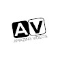 Amazing Videos logo