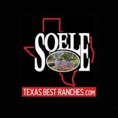 Thumbnail of related channel