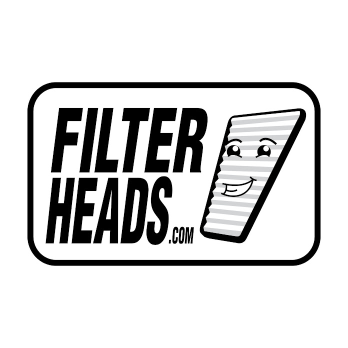 Filterheads Net Worth & Earnings (2026)