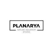 Planarya Studio