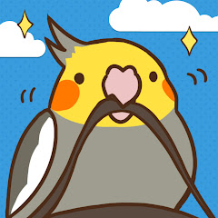 オカメインコ自由形