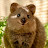 @QuokkaWaFriends