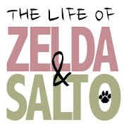The Life of Zelda & Salto