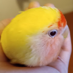 kabusan