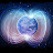 Magnetic Reversal News