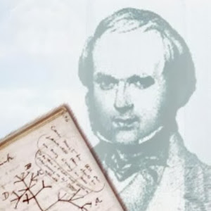 Standup4realscience YouTube channel image