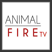 Animal Fire TV