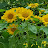 @user-sf6dw2xj6f